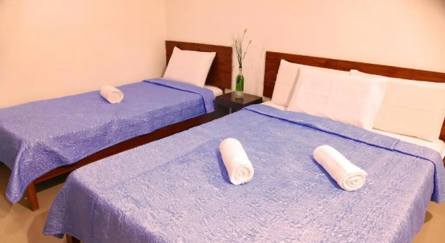 Номер Deluxe CounTess Pension House