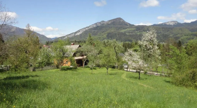 Chalet Ramsau 8, Book Chalet Bad Goisern 