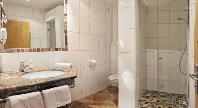 Двухместный номер Standard Aktivhotel Waldhof