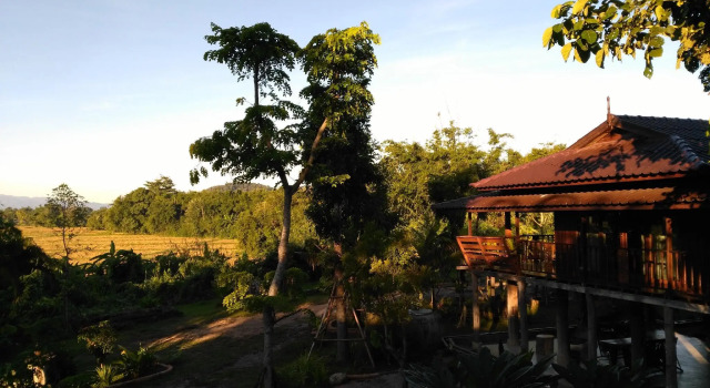 Номер Luxury Bambuh - The Garden Stay