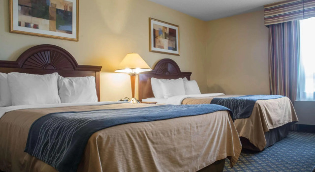 Четырёхместный номер Standard Comfort Inn & Suites