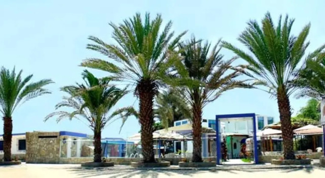 Bungalows Spilberg
