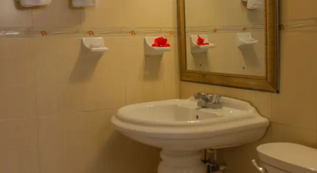 Семейный номер Standard с балконом и с красивым видом из окна SeaGarden Beach Resort - All Inclusive