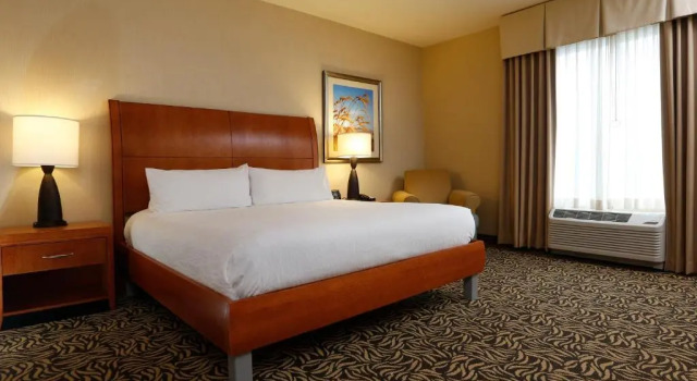 Люкс Hilton Garden Inn Cedar Falls Conference Center