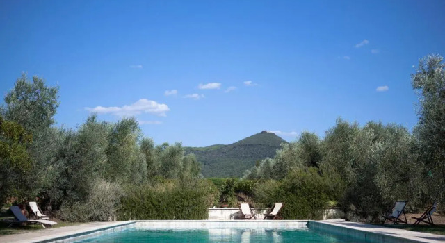 Апартаменты с видом на сад Agriturismo Tra gli Ulivi, Chiappini Winery
