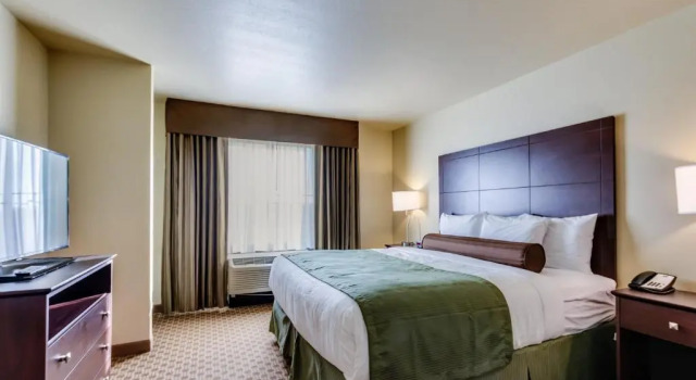 Люкс c 1 комнатой Cobblestone Inn & Suites - Waverly