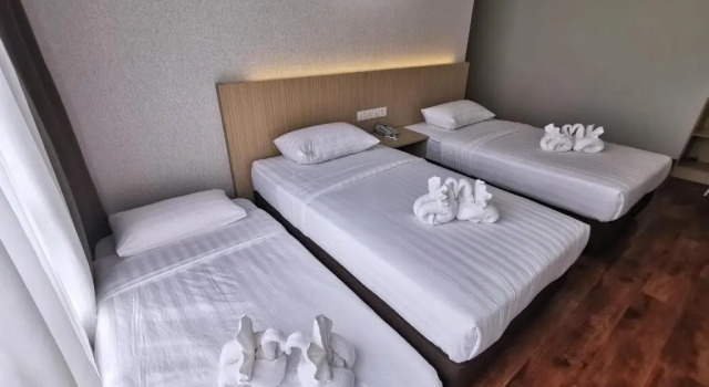 Двухместный номер Deluxe Green World Hotel