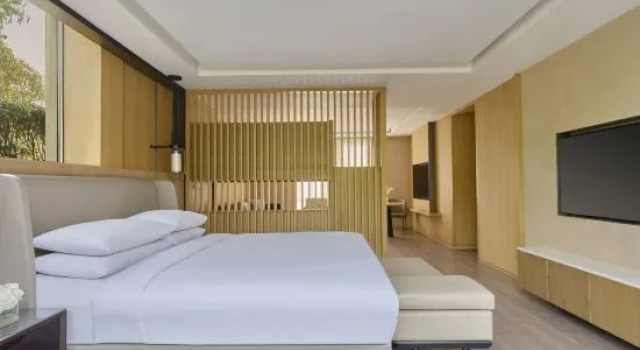 Четырёхместный люкс Executive с видом на горы Courtyard Aravali Resort