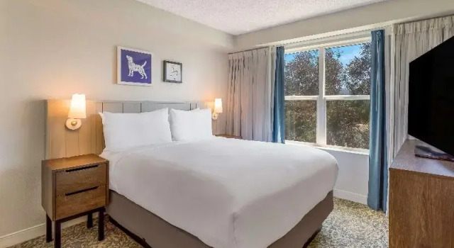 Люкс с видом на залив Sonesta ES Suites San Francisco Airport Oyster Point Waterfront
