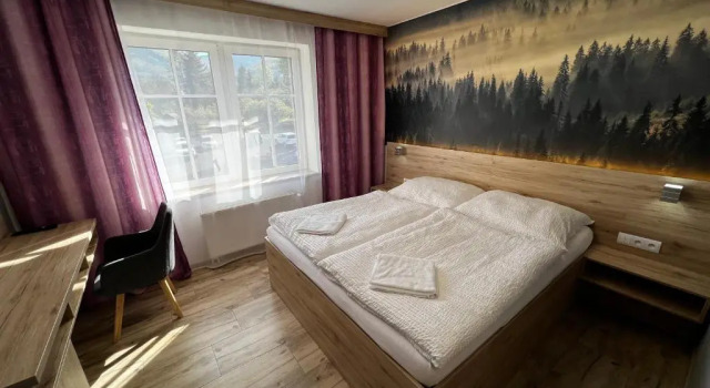 Двухместный номер Deluxe Hotel U Kociana