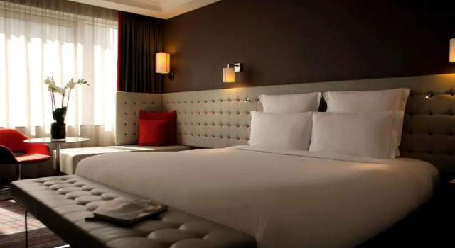Двухместный полулюкс Pullman London St Pancras