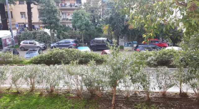 Marilena, Buchen Sie Hotel Taggia Blumenriviera