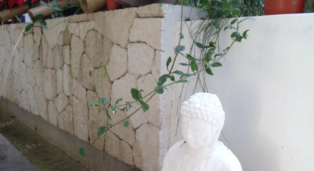 Ocean Zen Suites on 5th Avenue, Забронировать Отель Отели Плая-дель-Кармен 3 звезды, рядом с Church of Guadalupe, 3*