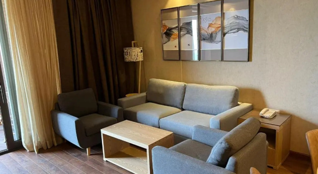 Happy Days in Dreamland Oasis, Book Apartment Chakvi 