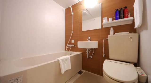 Двухместный номер Outdoor Corridor Sotetsu Fresa Inn Tokyo-Kyobashi