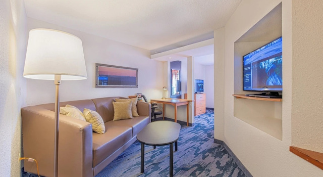 Двухместный люкс Fairfield Inn & Suites by Marriott Chicago Naperville