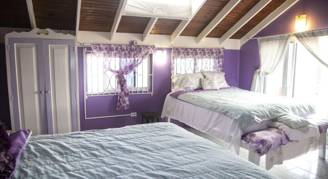 Castle Cove-Ocean Front Villa, Rezerwuj Willa Domki letniskowe w Negril, Domek