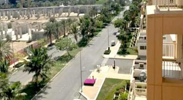 بلاتينيوم 205
