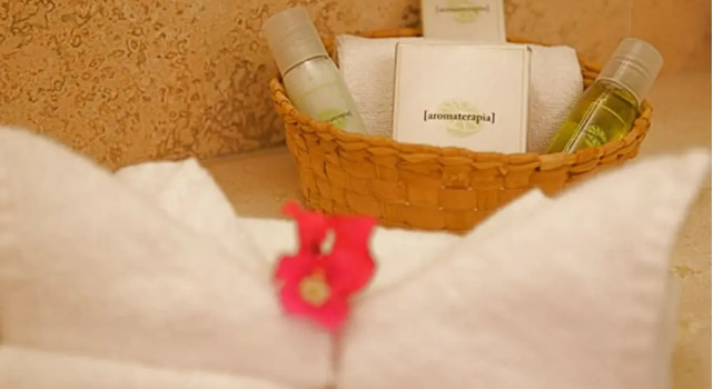 Двухместный люкс Superior с видом на сад Villa Carolina Boutique Hotel ADULTS ONLY