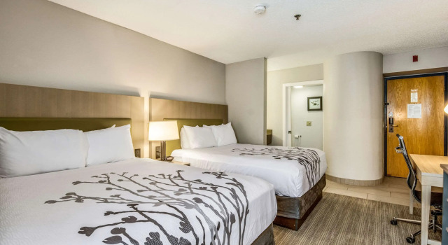Четырёхместный номер Standard Sleep Inn Fort Mill near Carowinds Blvd