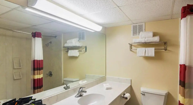 Люкс Red Roof Inn Lubbock