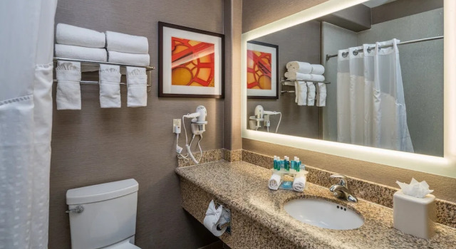 Четырёхместный люкс Holiday Inn Express & Suites Santa Clara by IHG