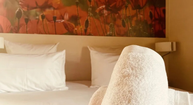 Двухместный номер Superior Hôtel-SPA Le Moulin De La Wantzenau - Strasbourg Nord