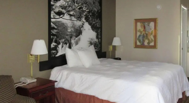 Номер Standard Super 8 by Wyndham Manchester TN