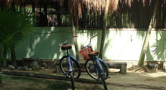 Eco.Bañitas
