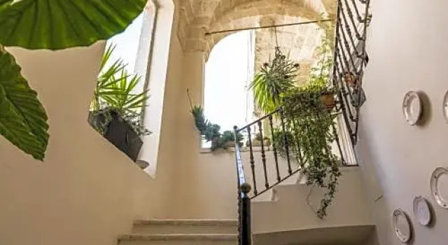 Palazzo delle Viole, Book Hotel Oria Salento