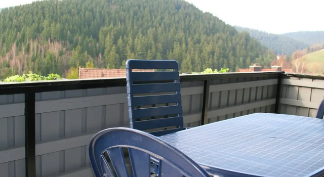 Апартаменты Comfort с 3 комнатами с балконом Spacious Holiday Home in Wildemann With Garden