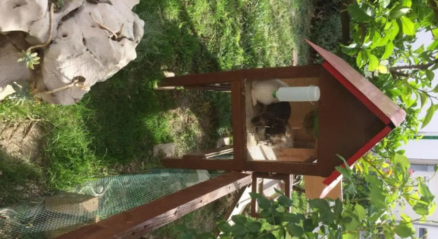Apartmani Zorica, Prenota Affittacamere Hotel a Isole Quarnerine con parcheggio, Parcheggio
