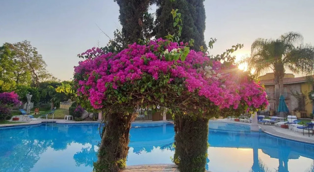 Четырёхместный номер Standard с красивым видом из окна Gran Hotel Hacienda De La Noria