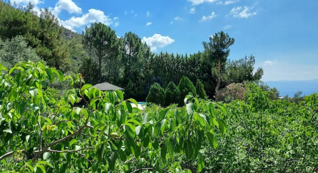 Номер Standard Malikane Luxury Resort