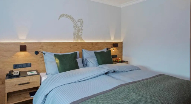 Двухместный номер Standard с видом на горы Arabella Alpenhotel am Spitzingsee, a Tribute Portfolio Hotel