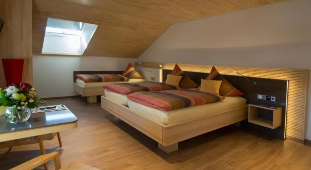 Трёхместный номер Standard Hotel Garni Jägerhof
