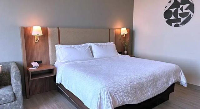 Двухместный номер Standard с видом на горы Holiday Inn Roanoke-Tanglewood-Rt 419&I581 by IHG