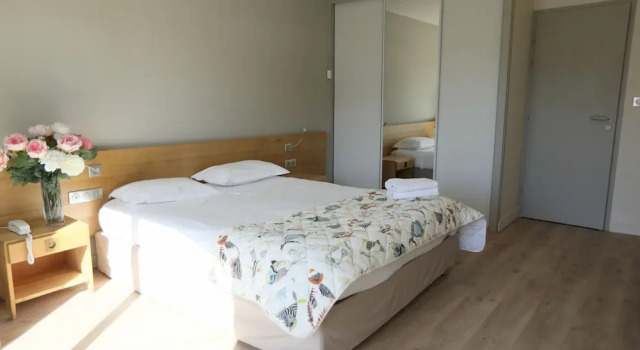 Номер Comfort Hotel Les Grenettes