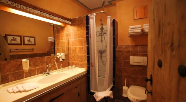 Одноместный номер Standard Europa-Park Erlebnis-Resort, Hotel Castillo Alcazar