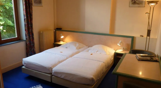 Номер Comfort Les Tilleuls Hotel