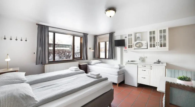 Трёхместный номер Standard Eric the Red Guesthouse