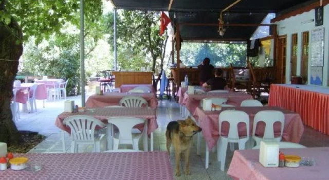 Adrasan Gelidonya Hotel