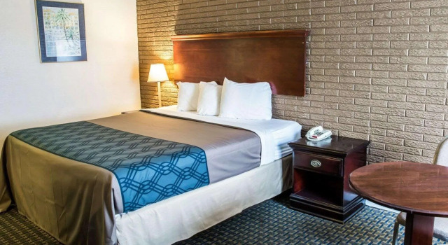 Двухместный люкс Rodeway Inn & Suites Wilmington North