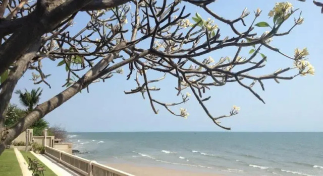 Palm Pavillion Huahin