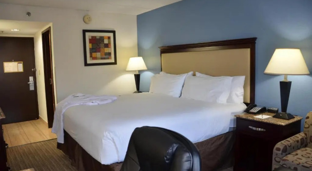 Номер Business Radisson Hotel Schaumburg