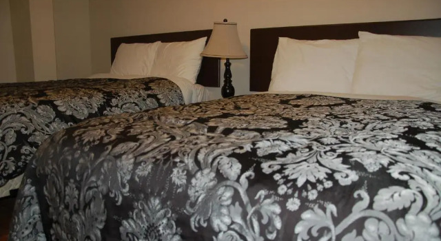 Standardní Čtyřlůžkový pokoj Stardust motel