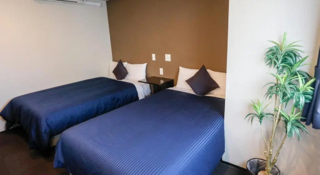 Двухместный номер HOTEL LiVEMAX Higashi Ginza