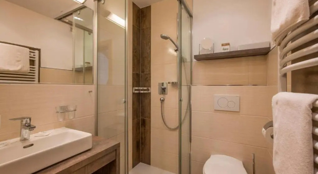 Двухместный номер Standard Hotel Alpina