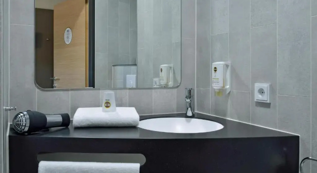 Одноместный номер B&B Hotel Dessau