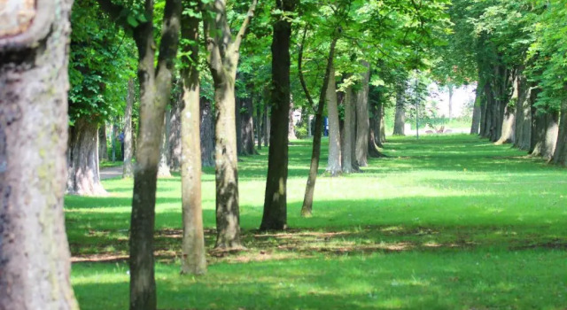 Номер Standard Reichels Parkhotel